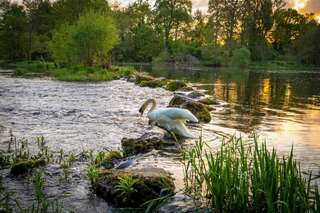 Отель Castle Oaks House Hotel Лимерик-7